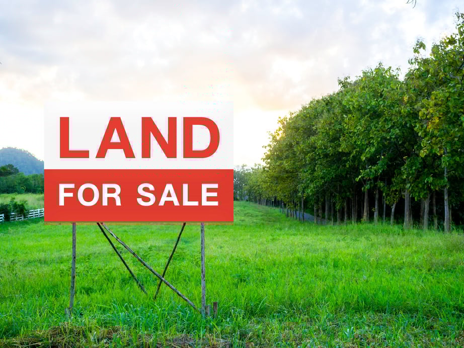 Land for sale sign on empty land.
